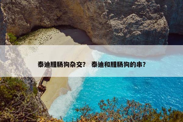 泰迪腊肠狗杂交？ 泰迪和腊肠狗的串？