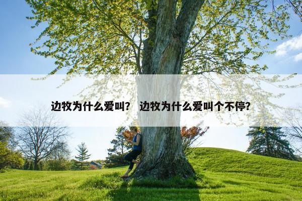 边牧为什么爱叫？ 边牧为什么爱叫个不停？