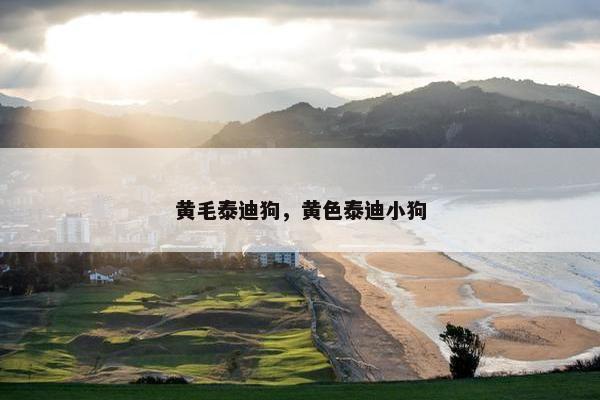 我家