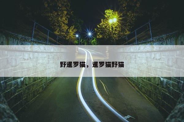 野暹罗猫，暹罗猫野猫