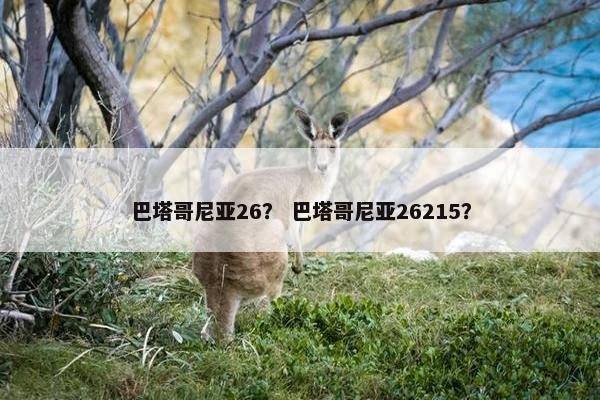 巴塔哥尼亚26？ 巴塔哥尼亚26215？