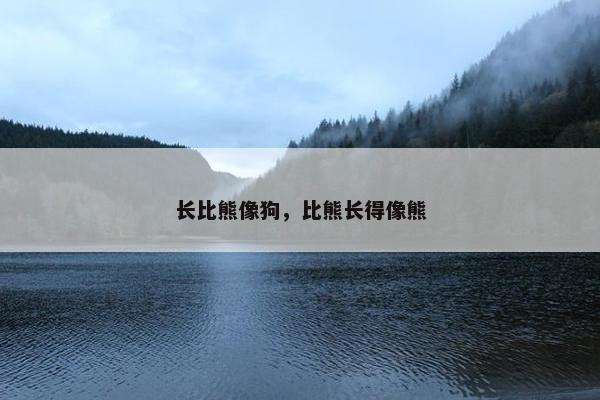 长比熊像狗,比熊长得像熊