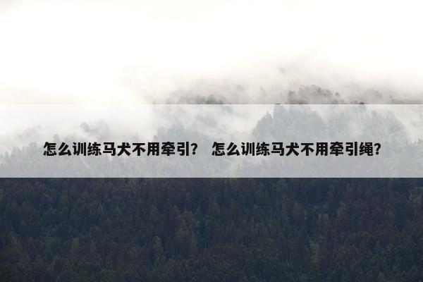 马犬 第5页