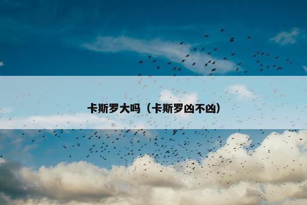 卡斯罗大吗（卡斯罗凶不凶）