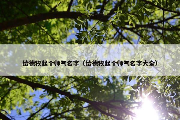 给德牧起个帅气名字（给德牧起个帅气名字大全）