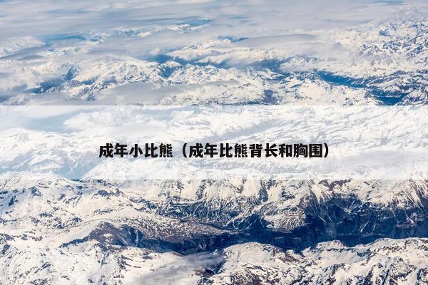 成年小比熊(成年比熊背长和胸围)