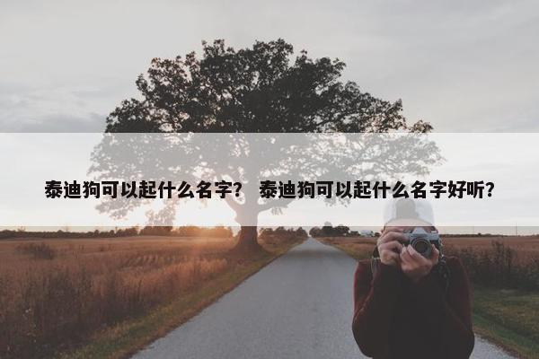 泰迪狗可以起什么名字？ 泰迪狗可以起什么名字好听？