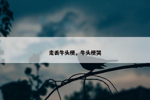 走丢牛头梗,牛头梗哭
