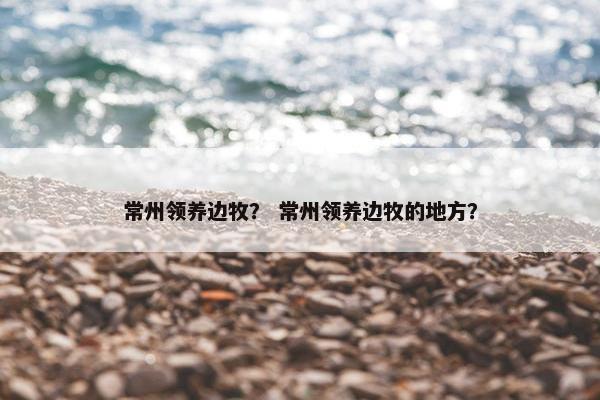 常州领养边牧？ 常州领养边牧的地方？