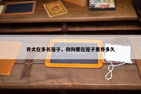 养犬在多长笼子，狗狗要在笼子里养多久
