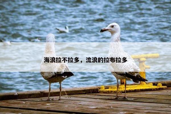 泰坦尼克号