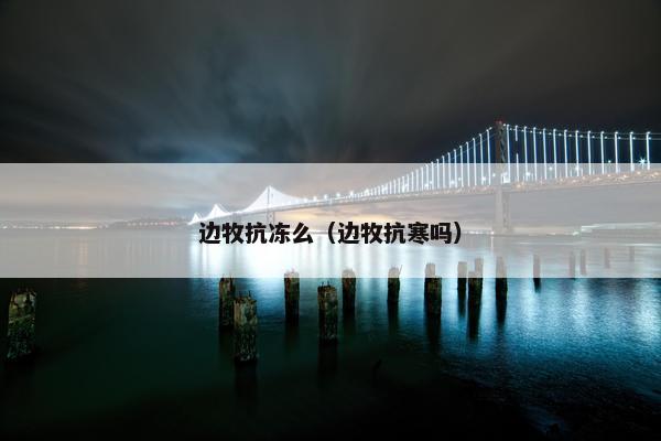 边牧抗冻么(边牧抗寒吗)