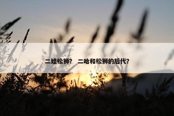 二娃松狮？ 二哈和松狮的后代？