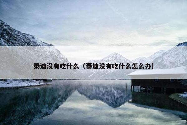 泰迪没有吃什么（泰迪没有吃什么怎么办）