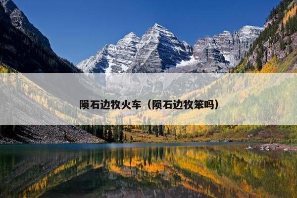 陨石边牧火车（陨石边牧笨吗）