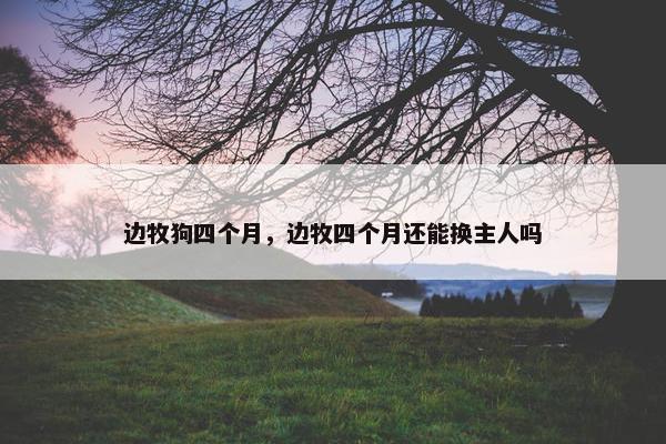 边牧狗四个月,边牧四个月还能换主人吗