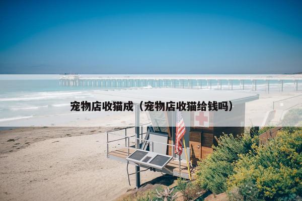 宠物店收猫成（宠物店收猫给钱吗）