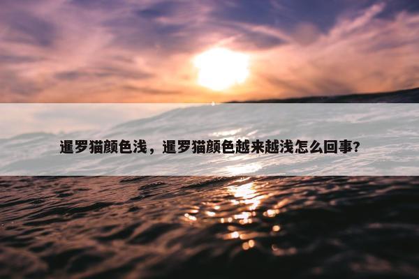 毛色 第5页