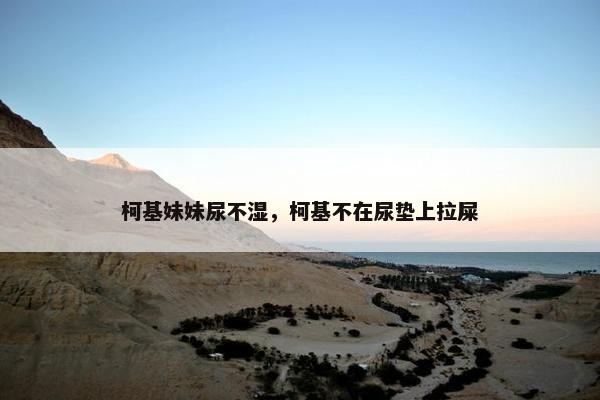 柯基妹妹尿不湿,柯基不在尿垫上拉屎