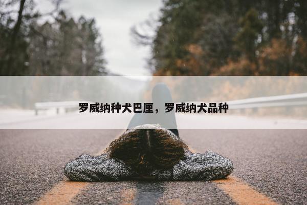 守护