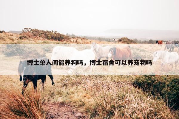 博士单人间能养狗吗，博士宿舍可以养宠物吗