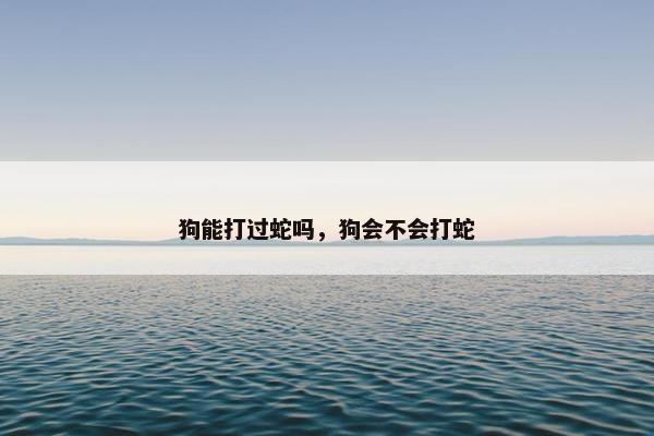 毒蛇