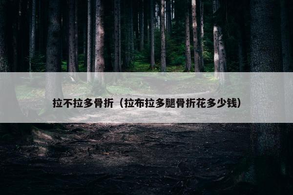 拉不拉多骨折（拉布拉多腿骨折花多少钱）