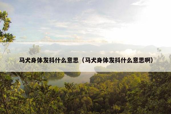 马犬身体发抖什么意思（马犬身体发抖什么意思啊）