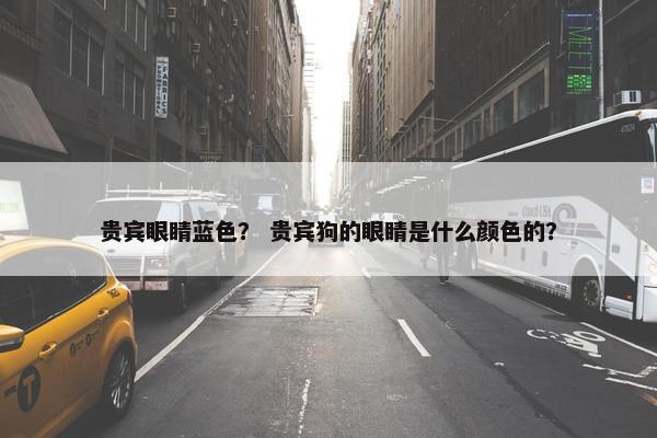 贵宾眼睛蓝色？ 贵宾狗的眼睛是什么颜色的？
