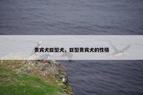 贵宾犬巨型犬，巨型贵宾犬的性格