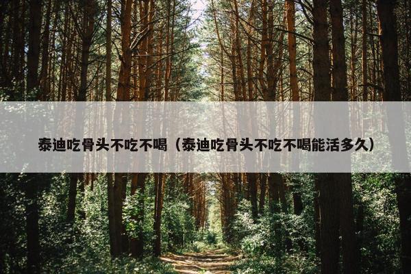 骨头