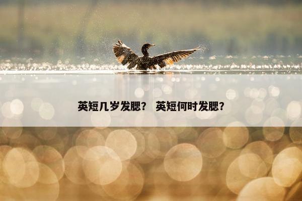 英短几岁发腮? 英短何时发腮?
