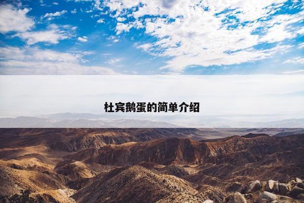 杜宾鹅蛋的简单介绍