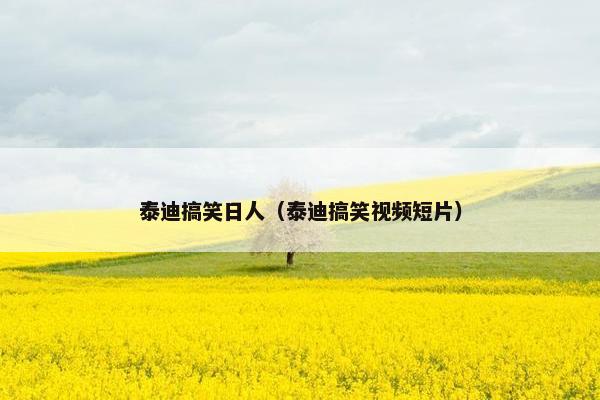 泰迪搞笑日人(泰迪搞笑视频短片)