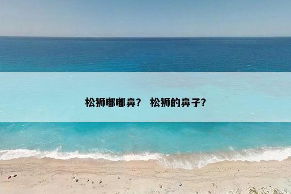 松狮嘟嘟鼻？ 松狮的鼻子？