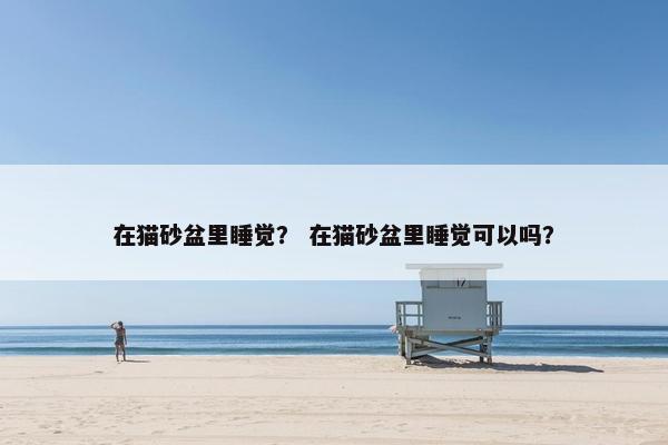在猫砂盆里睡觉? 在猫砂盆里睡觉可以吗?