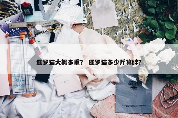 暹罗猫大概多重？ 暹罗猫多少斤算胖？