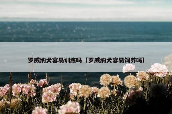 罗威纳犬容易训练吗（罗威纳犬容易饲养吗）