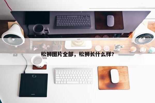 松狮图片全部，松狮长什么样?