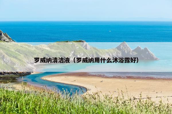 罗威纳清洁液（罗威纳用什么沐浴露好）