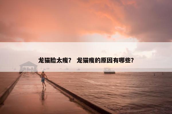 龙猫脸太瘦？ 龙猫瘦的原因有哪些？