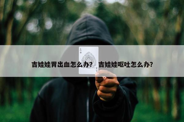 吉娃娃胃出血怎么办？ 吉娃娃呕吐怎么办？