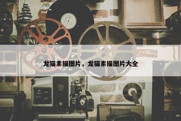 龙猫 第7页