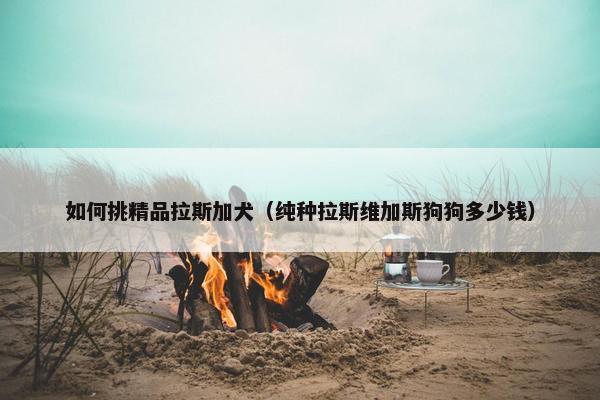 毛质