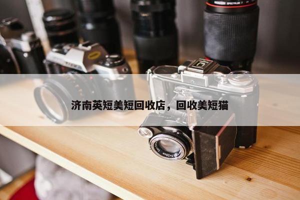 济南英短美短回收店，回收美短猫