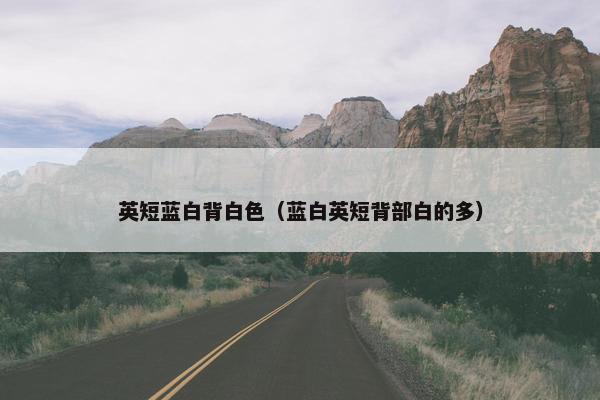 英短蓝白背白色（蓝白英短背部白的多）