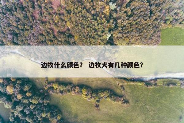 边牧什么颜色? 边牧犬有几种颜色?