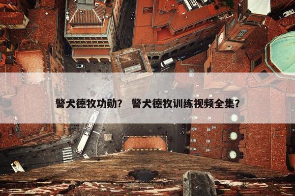 警犬德牧功勋？ 警犬德牧训练视频全集？