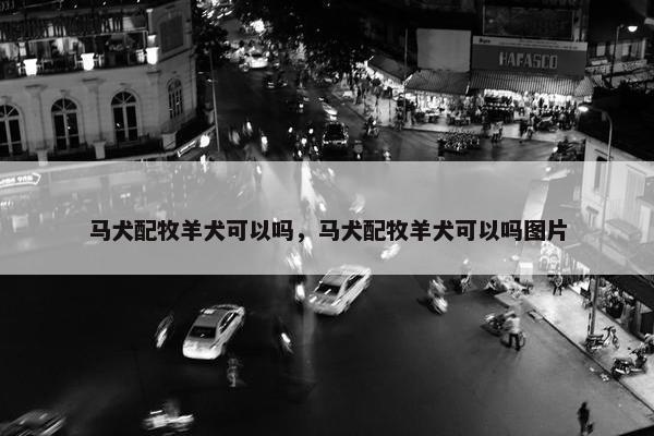 马犬配牧羊犬可以吗，马犬配牧羊犬可以吗图片