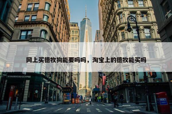 网上买德牧狗能要吗吗，淘宝上的德牧能买吗
